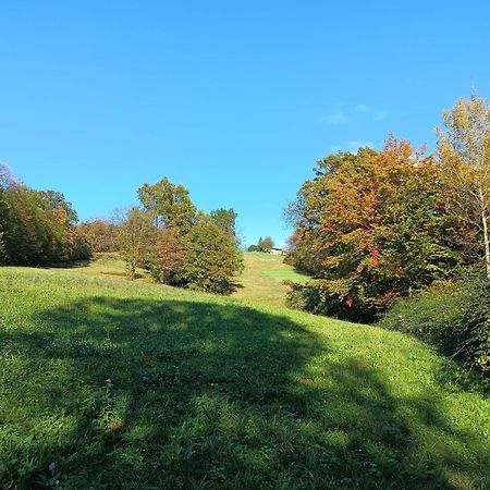 Agriturismo Fattoria Ortoalpino Trichiana 외부 사진