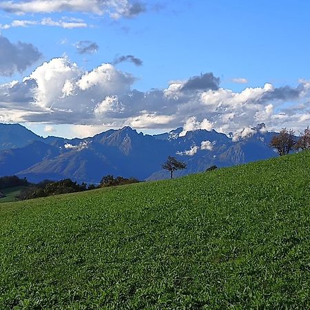 Agriturismo Fattoria Ortoalpino Trichiana 외부 사진