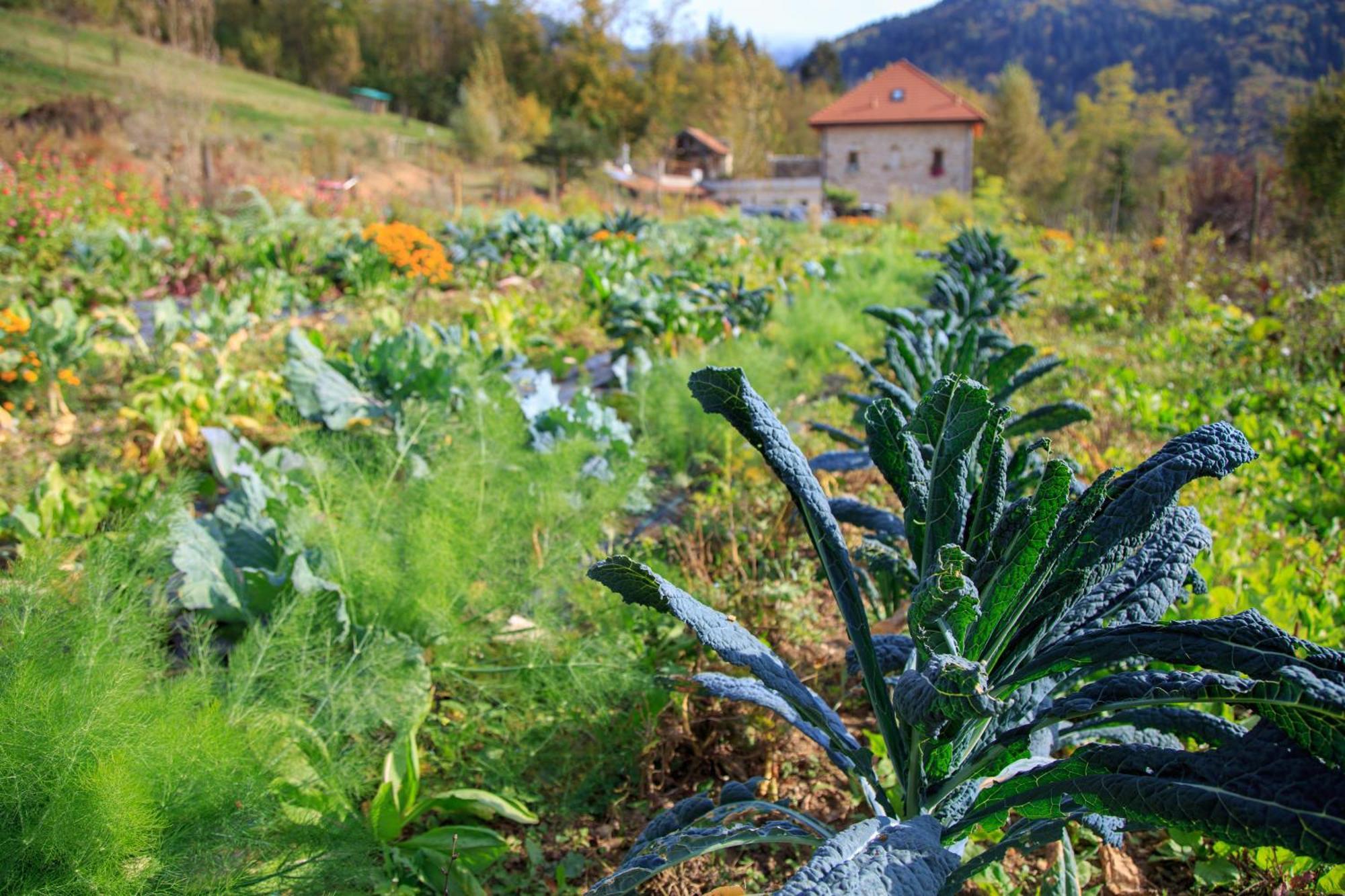 Agriturismo Fattoria Ortoalpino Trichiana 외부 사진