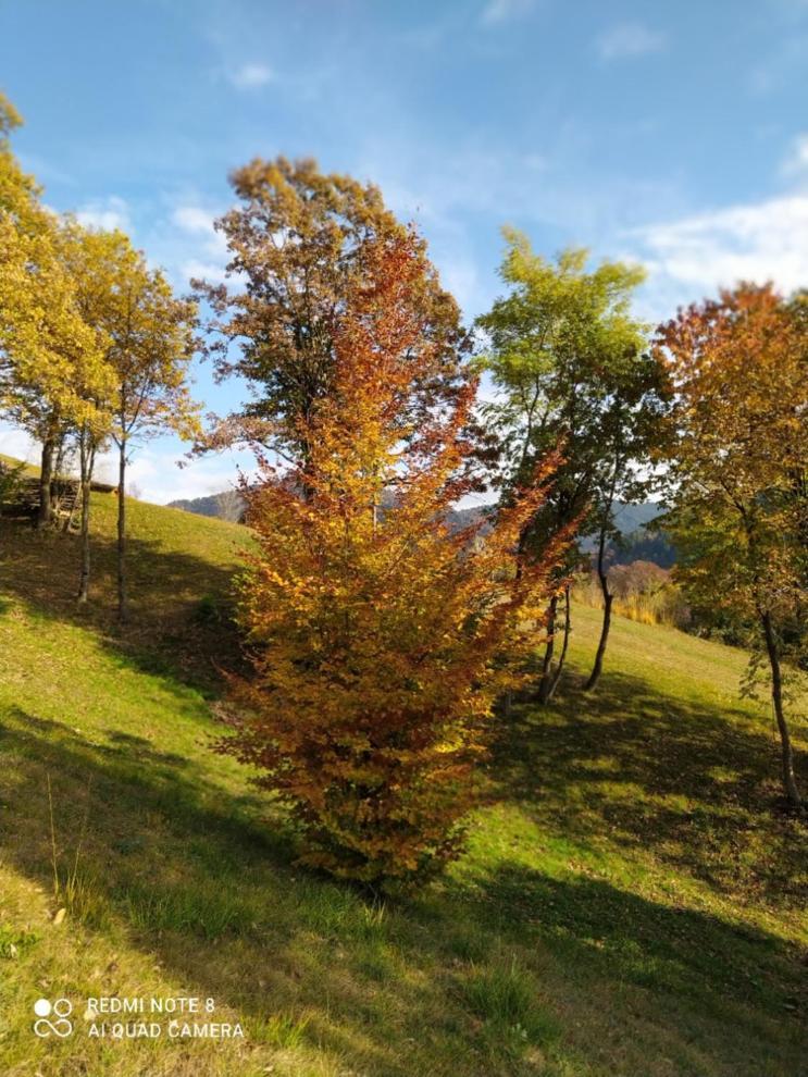 Agriturismo Fattoria Ortoalpino Trichiana 외부 사진