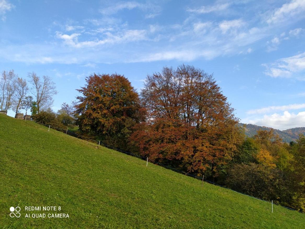 Agriturismo Fattoria Ortoalpino Trichiana 외부 사진