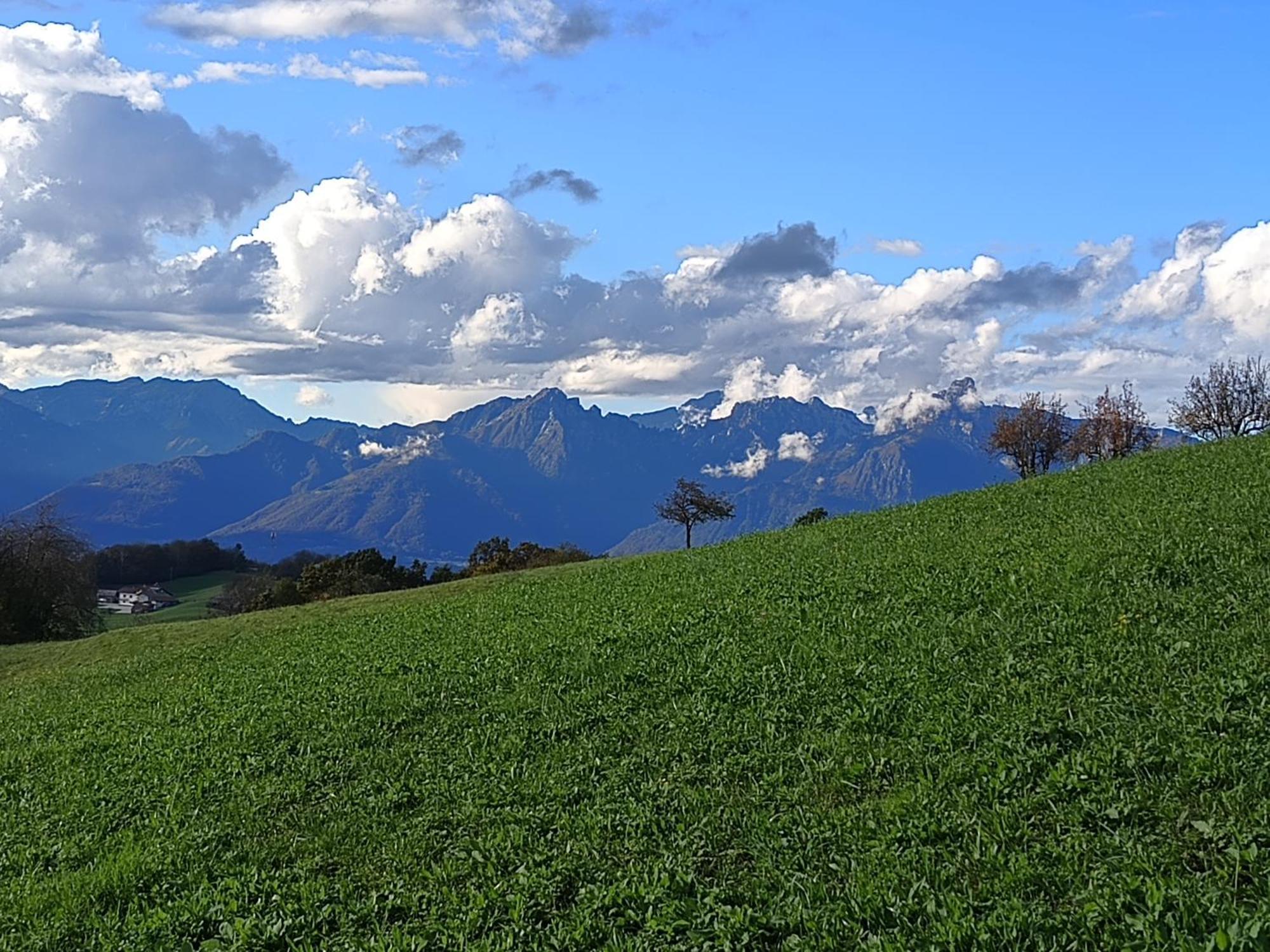 Agriturismo Fattoria Ortoalpino Trichiana 외부 사진