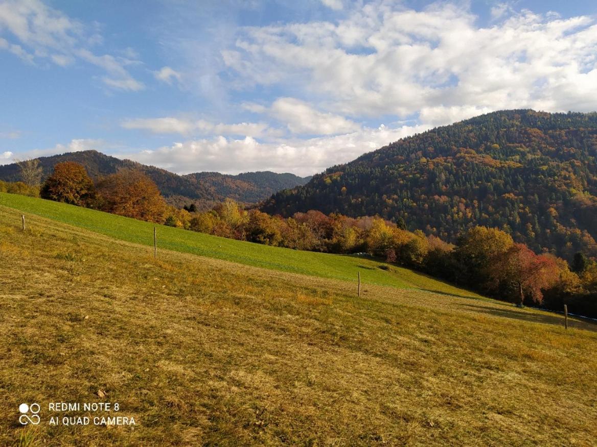 Agriturismo Fattoria Ortoalpino Trichiana 외부 사진