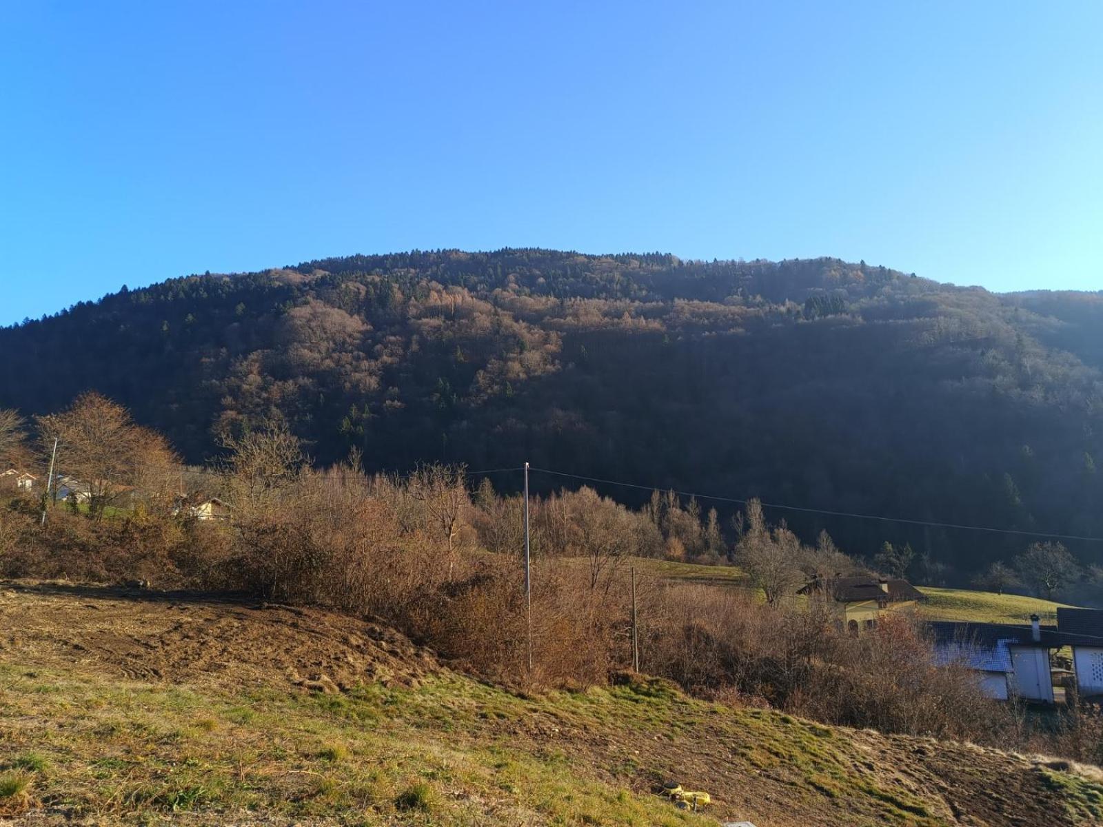 Agriturismo Fattoria Ortoalpino Trichiana 외부 사진