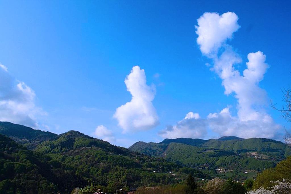 Agriturismo Fattoria Ortoalpino Trichiana 외부 사진
