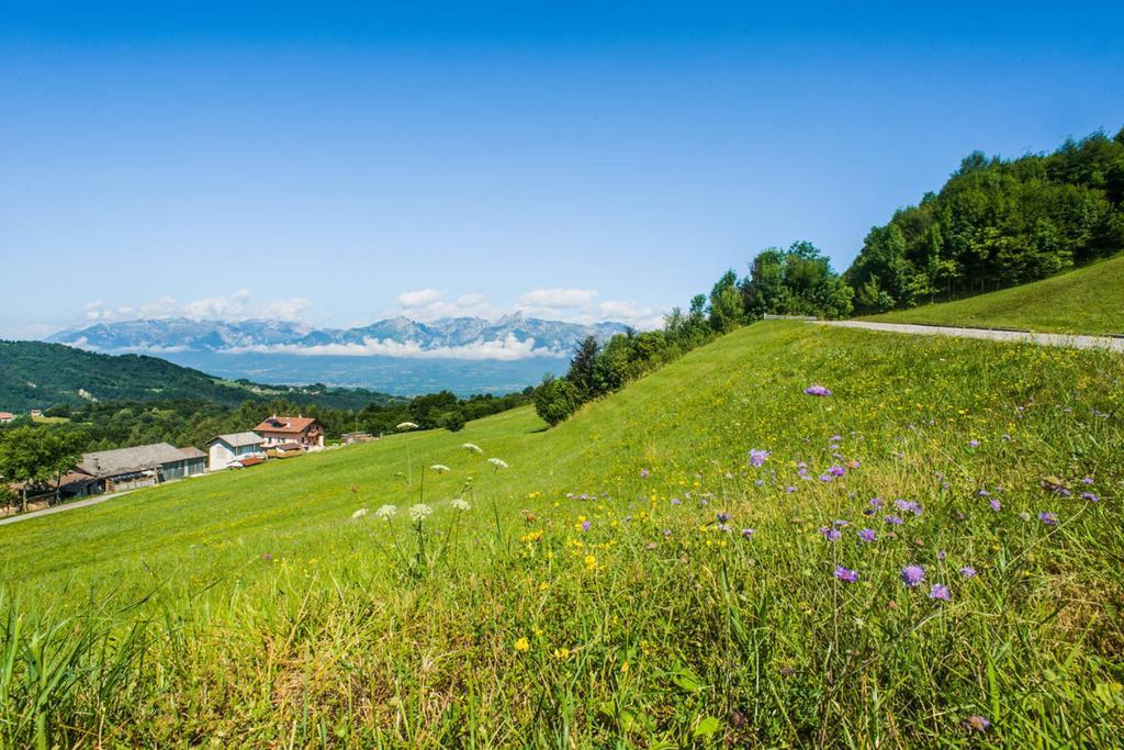 Agriturismo Fattoria Ortoalpino Trichiana 외부 사진