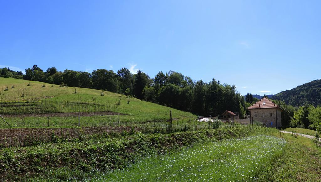 Agriturismo Fattoria Ortoalpino Trichiana 외부 사진